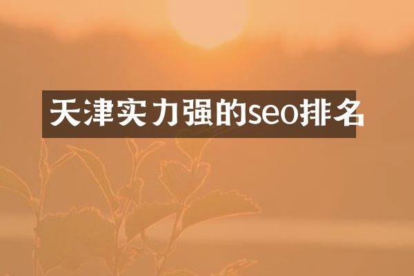 天津实力强的seo排名