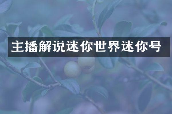 主播解说迷你世界迷你号