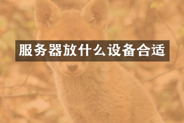服务器放什么设备合适