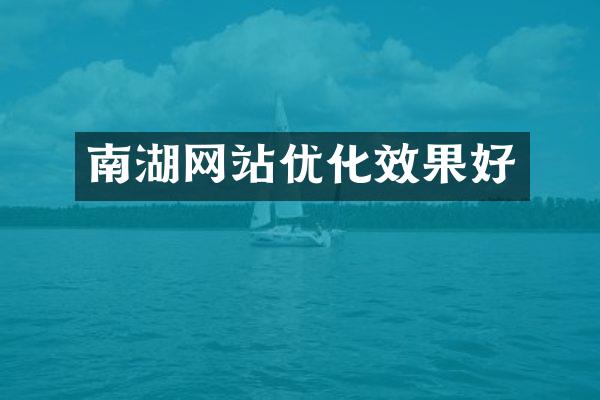 南湖网站优化效果好