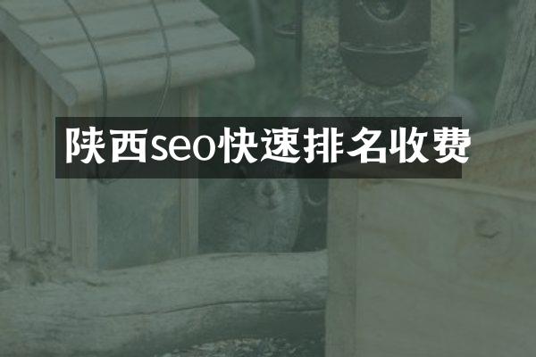 陕西seo快速排名收费