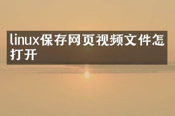 linux保存网页视频文件怎么打开