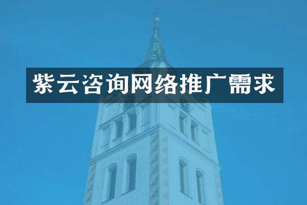 紫云咨询网络推广需求