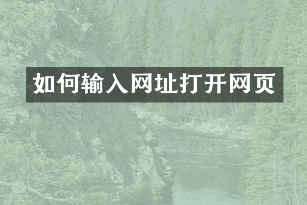 如何输入网址打开网页