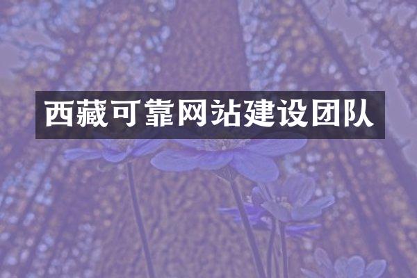 西藏可靠网站建设团队