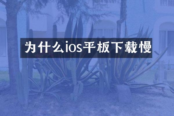 为什么ios平板下载慢
