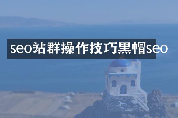 seo站群操作技巧黑帽seo
