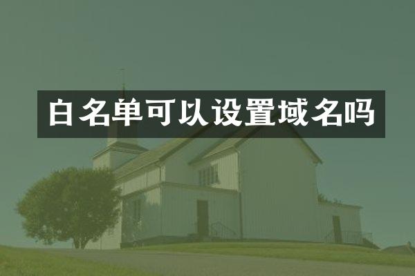 白名单可以设置域名吗