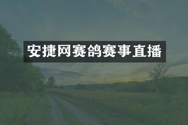 安捷网赛鸽赛事直播