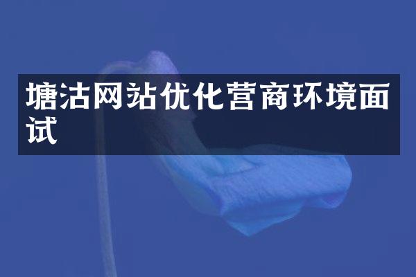 塘沽网站优化营商环境面试