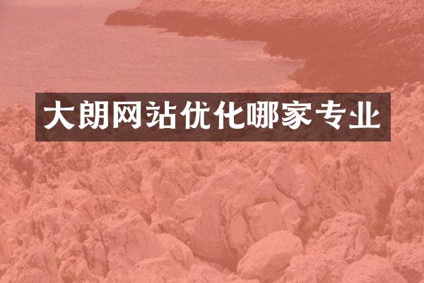 大朗网站优化哪家专业