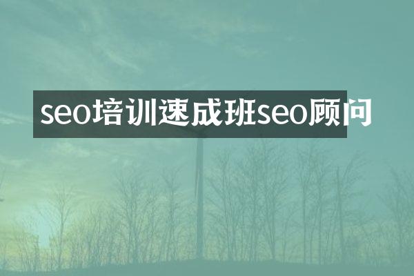 seo培训速成班seo顾问