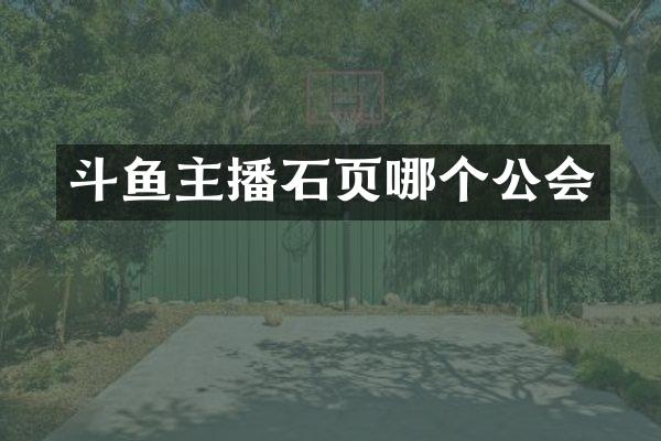 斗鱼主播石页哪个公会