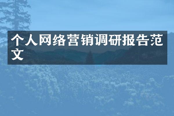 个人网络营销调研报告范文