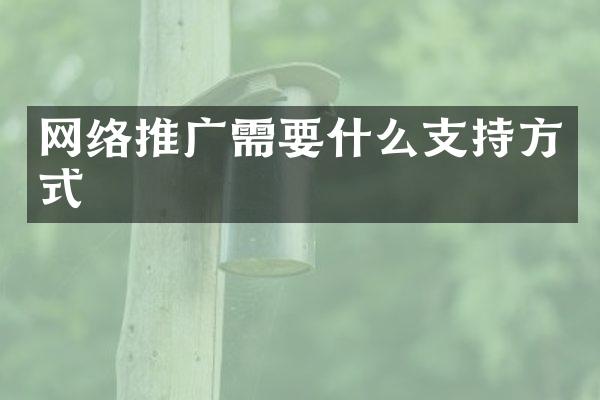 网络推广需要什么支持方式