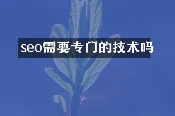 seo需要专门的技术吗