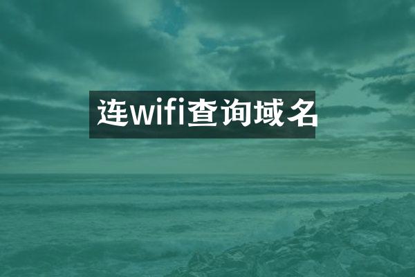连wifi查询域名