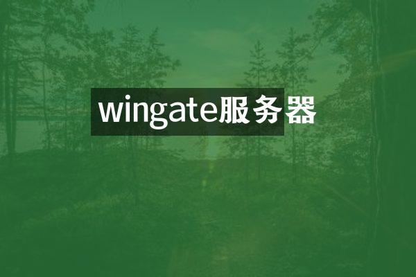 wingate服务器