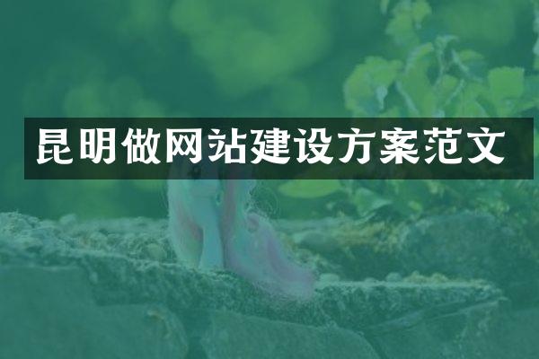 昆明做网站建设方案范文