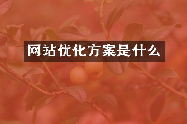 网站优化方案是什么