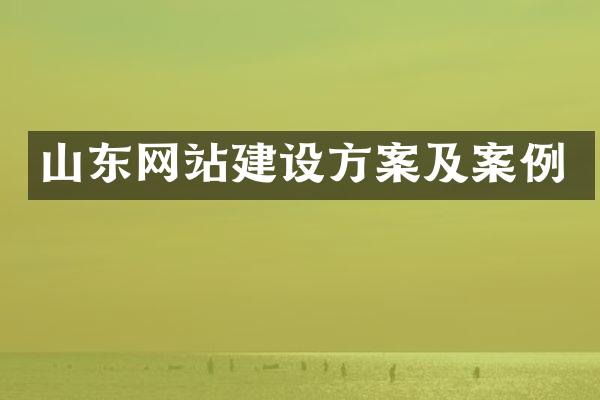 山东网站建设方案及案例