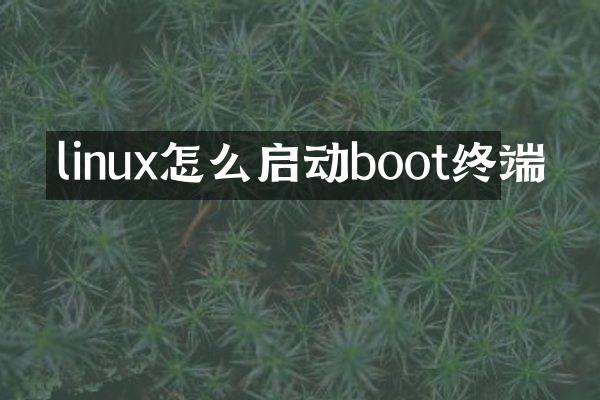 linux怎么启动boot终端