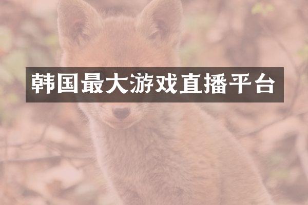 韩国最大游戏直播平台