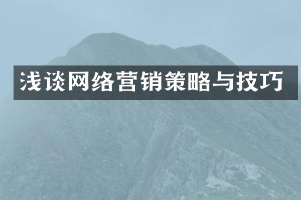 浅谈网络营销策略与技巧