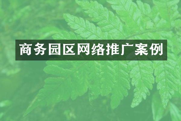 商务园区网络推广案例