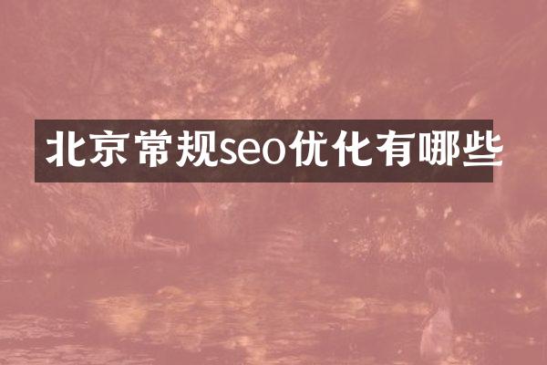 北京常规seo优化有哪些