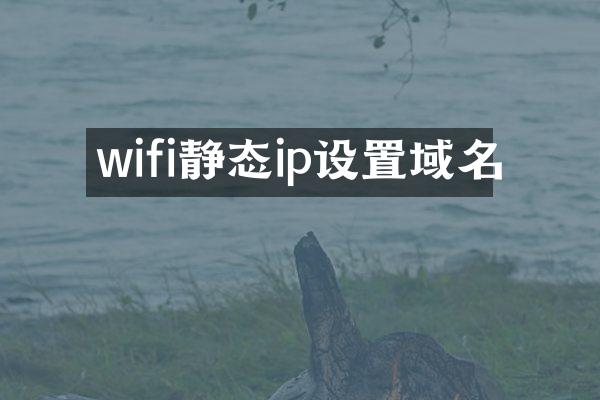 wifi静态ip设置域名