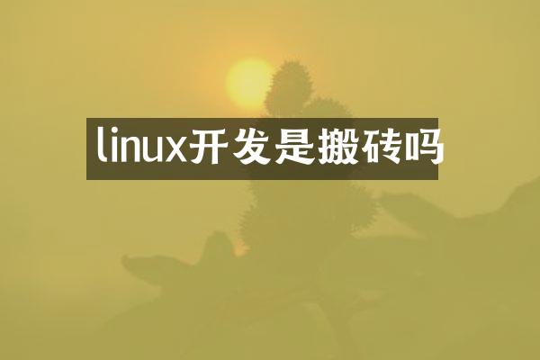 linux开发是搬砖吗