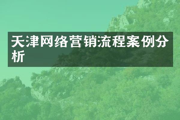 天津网络营销流程案例分析