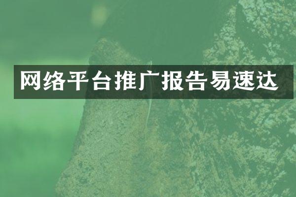 网络平台推广报告易速达