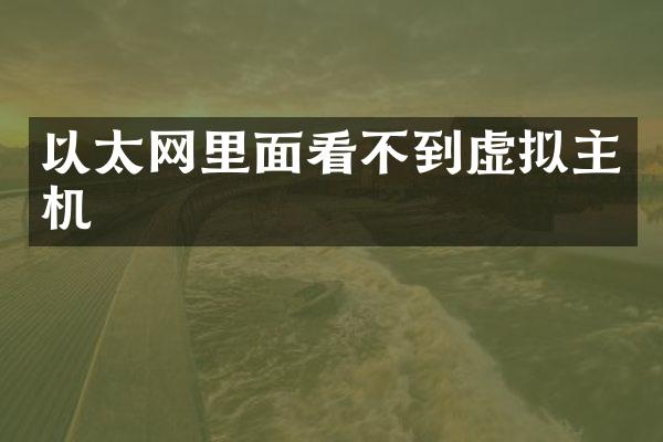 以太网里面看不到虚拟主机