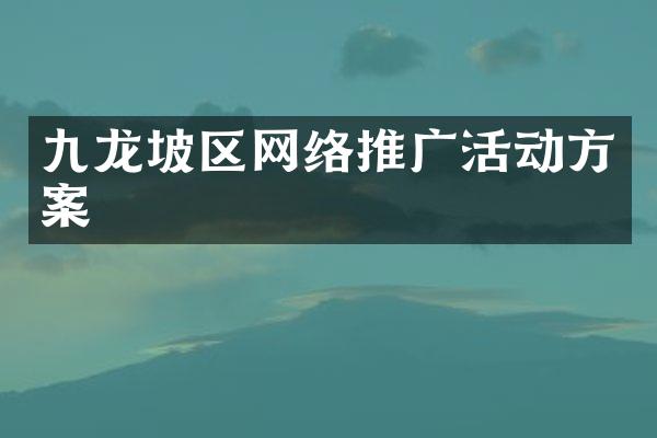 九龙坡区网络推广活动方案