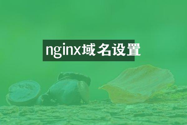 nginx域名设置