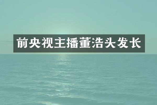 前央视主播董浩头发长