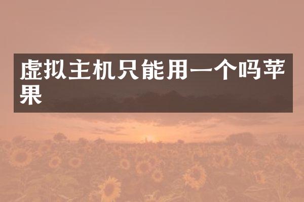虚拟主机只能用一个吗苹果
