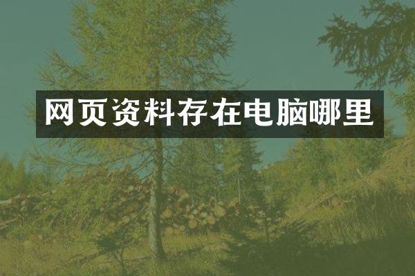 网页资料存在电脑哪里