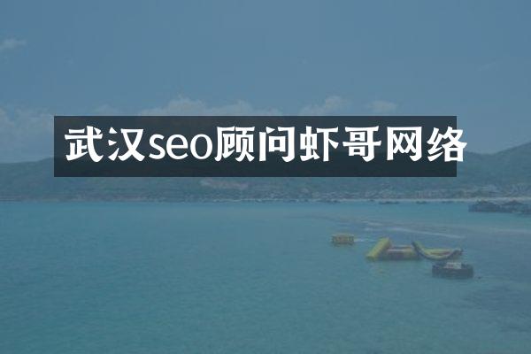 武汉seo顾问虾哥网络