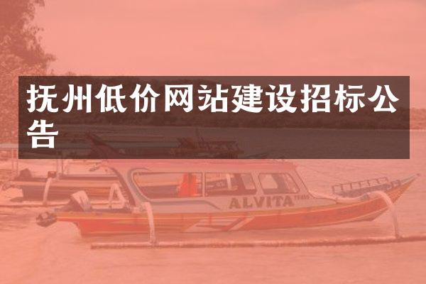 抚州低价网站建设招标公告