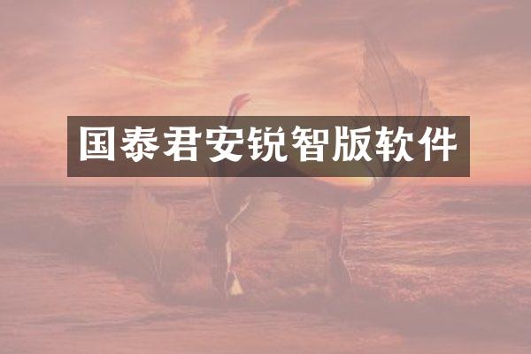 国泰君安锐智版软件