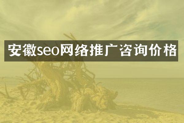 安徽seo网络推广咨询价格