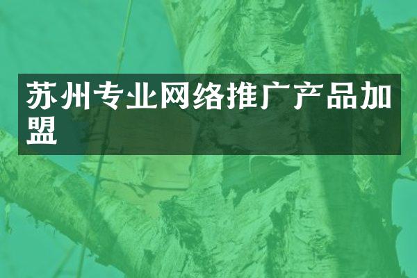 苏州专业网络推广产品加盟