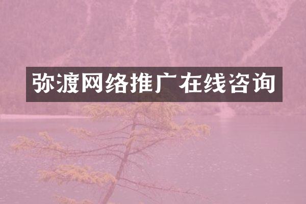 弥渡网络推广在线咨询