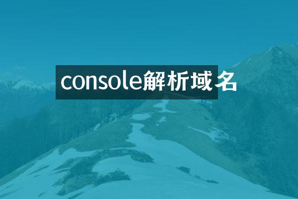 console解析域名