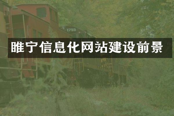 睢宁信息化网站建设前景