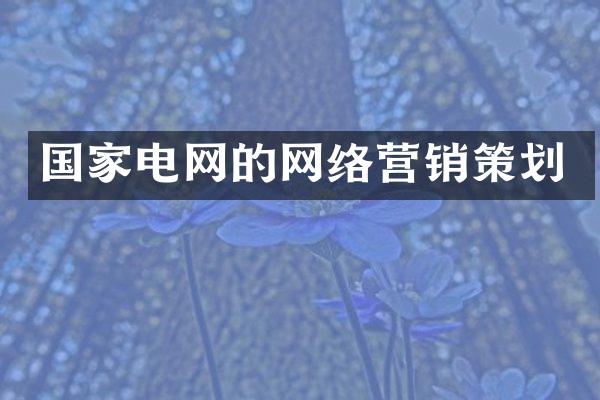 国家电网的网络营销策划