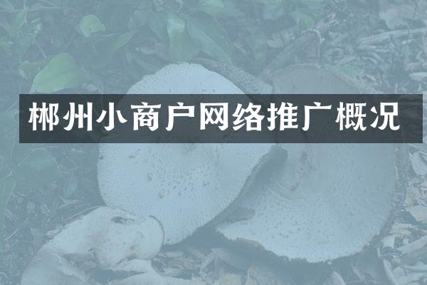 郴州小商户网络推广概况